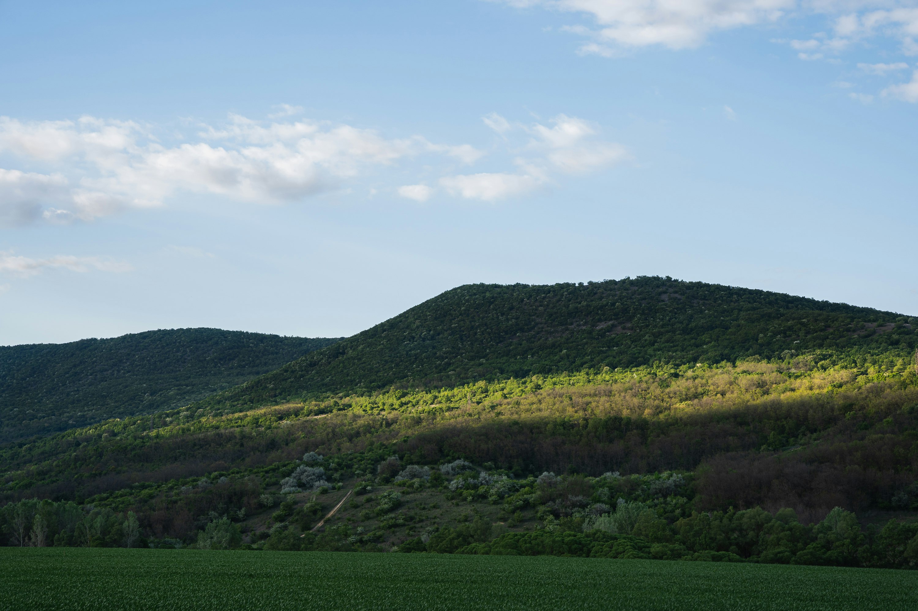 green grass field and mountain under blue sky during daytime